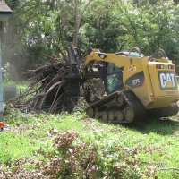 Blown Over Stump Removal