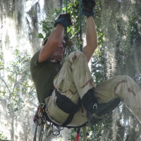 Climbing without Spikes