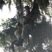 Climbing without Spikes