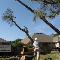 Crane Work