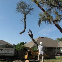 Crane Work