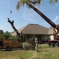 Crane Work