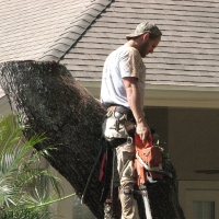 Crane Work