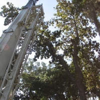 Crane Work