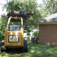 Cut Down Large Pine