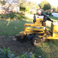 Stump Grinding