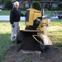 Stump Grinding