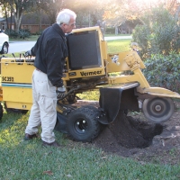 Stump Grinding