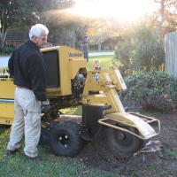 Stump Grinding