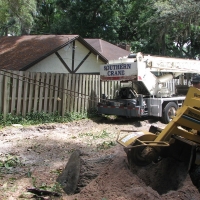 Stump Grinding